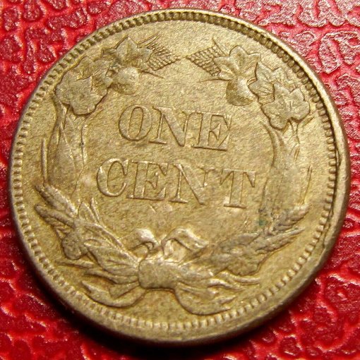 All-Members,-Post-Your-Most-Recent-US-Coin-Purchases!